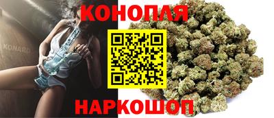 крисы Севастополь