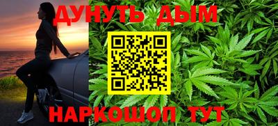 крисы Севастополь