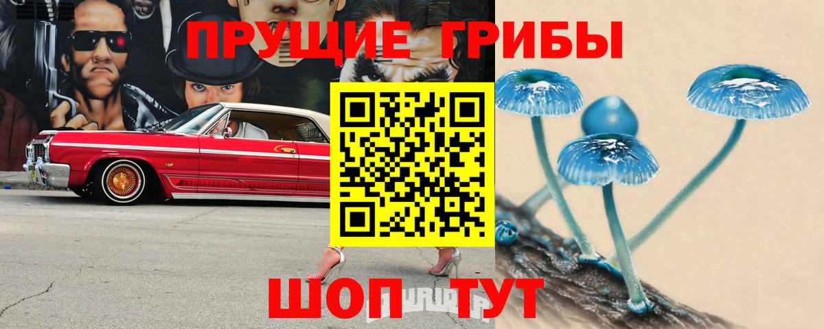 Нижнеудинск  Псилоцибиновые грибы Magic Shrooms  Вход с VPN  Галлюциногенные грибы мухоморы 